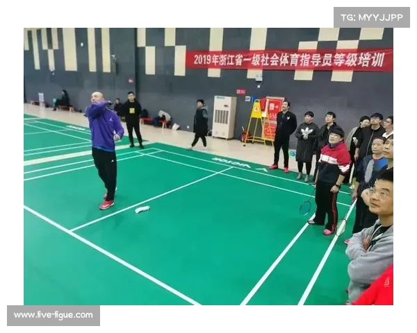 业余羽毛球赛事等级分级制度：促进公平竞争与参与